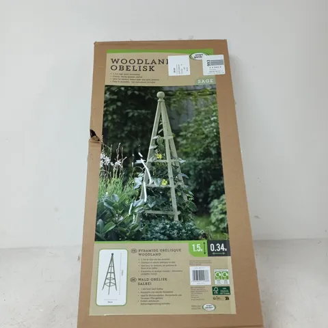 SMART GARDEN WOODLAND OBELISK SAGE 150 X 34CM BOXED