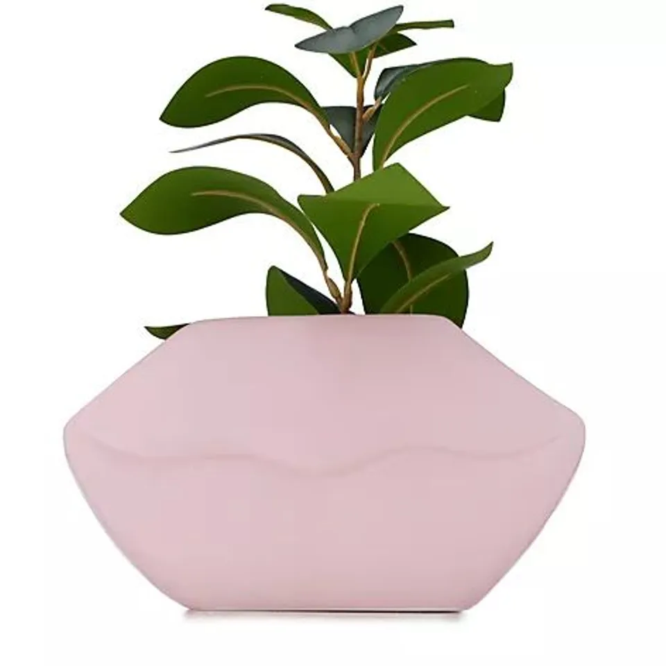 BUNDLEBERRY BY AMANDA HOLDEN LIPS FOLIAGE VASE