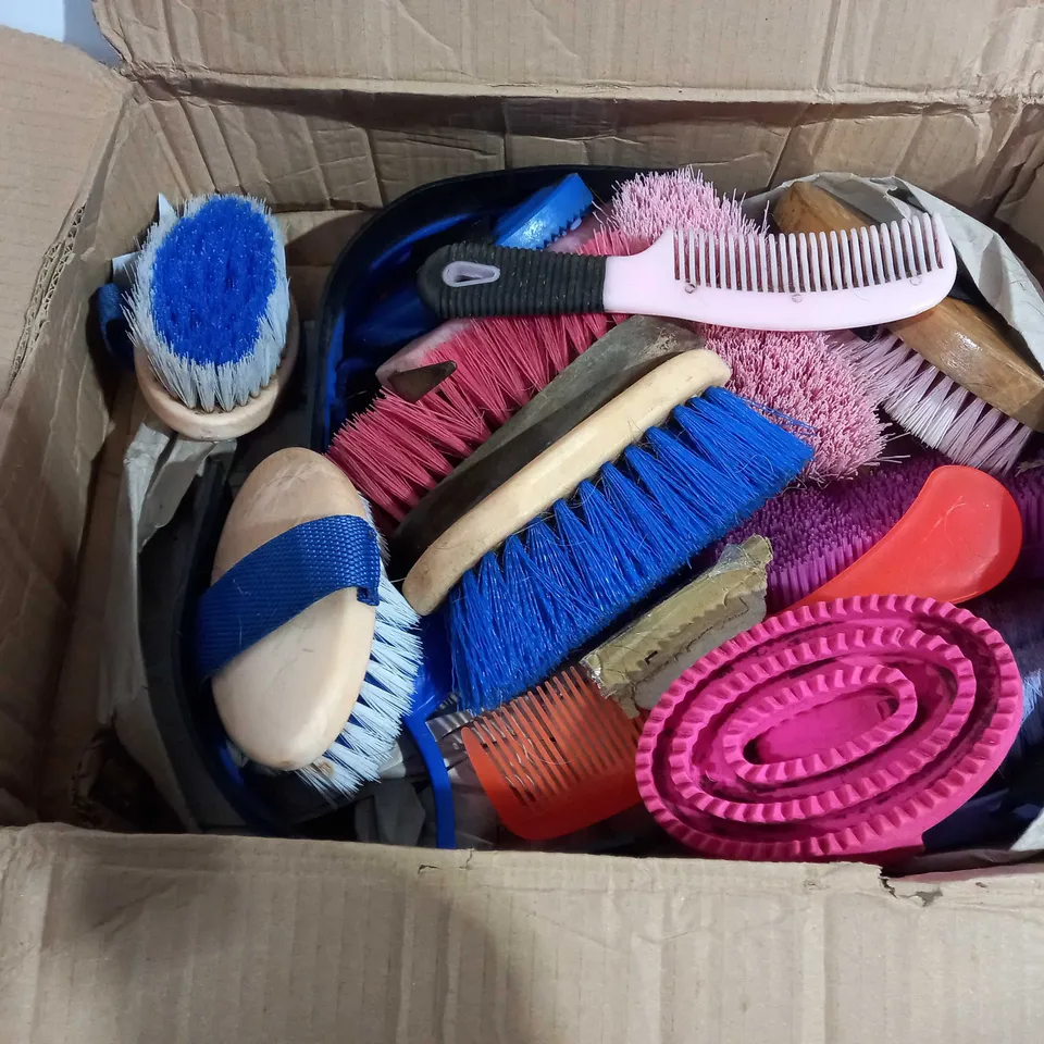 APPROXIMATELY 8 ASSORTED BRUSHES OF VARYING TYPES AND SIZES