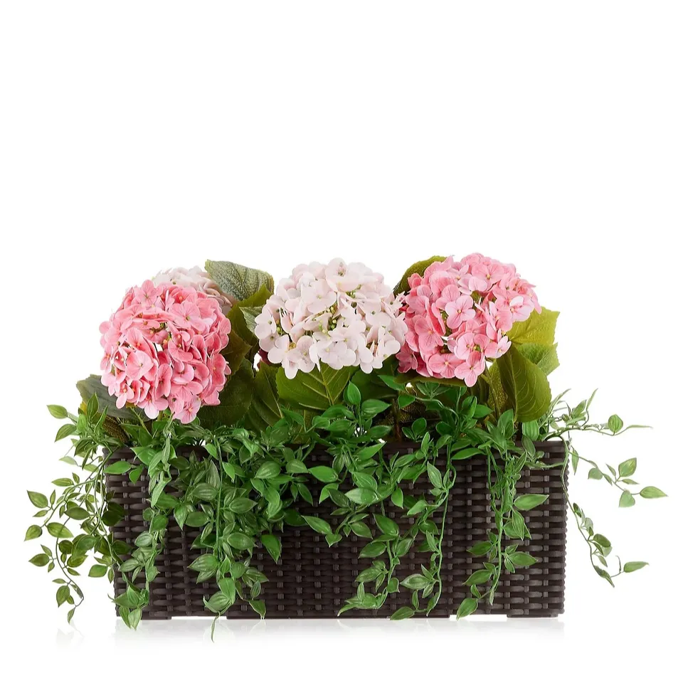 GARDEN REFLECTION INDOOR OUTDOOR HYDRANGEA AND IVY IN WINDOW DECORATION IN PINK