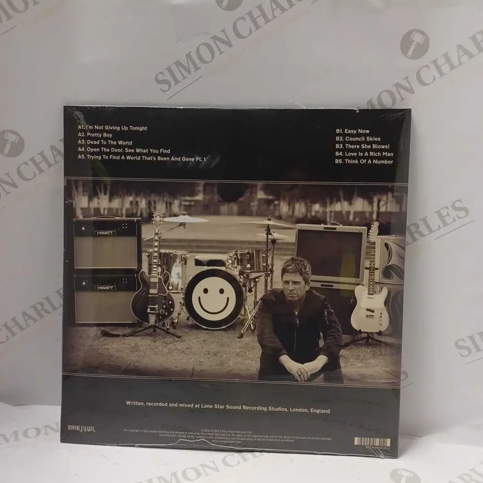 NOEL GALLAGHER'S HIGH FLYING BIRDS - COUNCIL SKIES VINYL