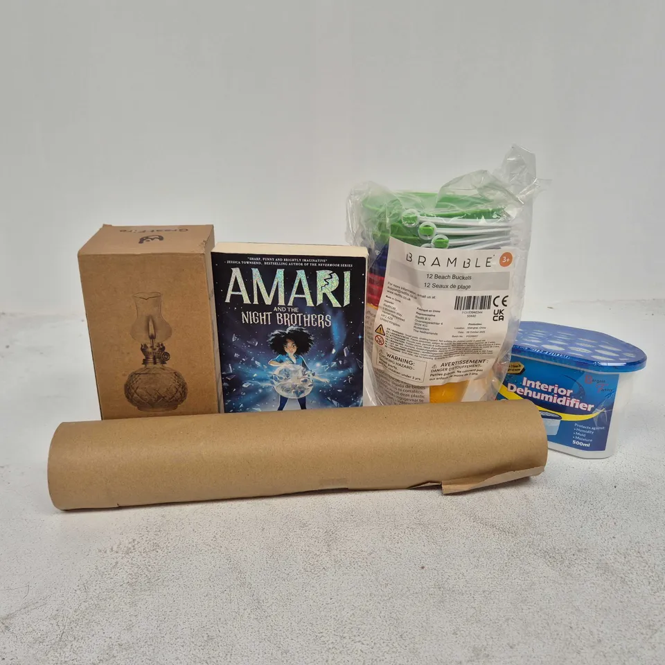 APPROXIMATELY 20 ASSORTED HOUSEHOLD PRODUCTS TO INCLUDE AMARI AND THE NIGHT BROTHERS BOOK, INTERIOR DEHUMIDIFIER, BEACH BUCKETS, ETC - COLLECTION ONLY