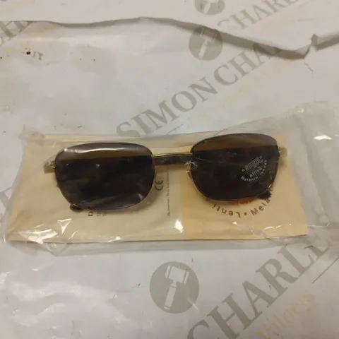 15 DE RIGO STING OCCHIALI GLASSES - 554361/0220