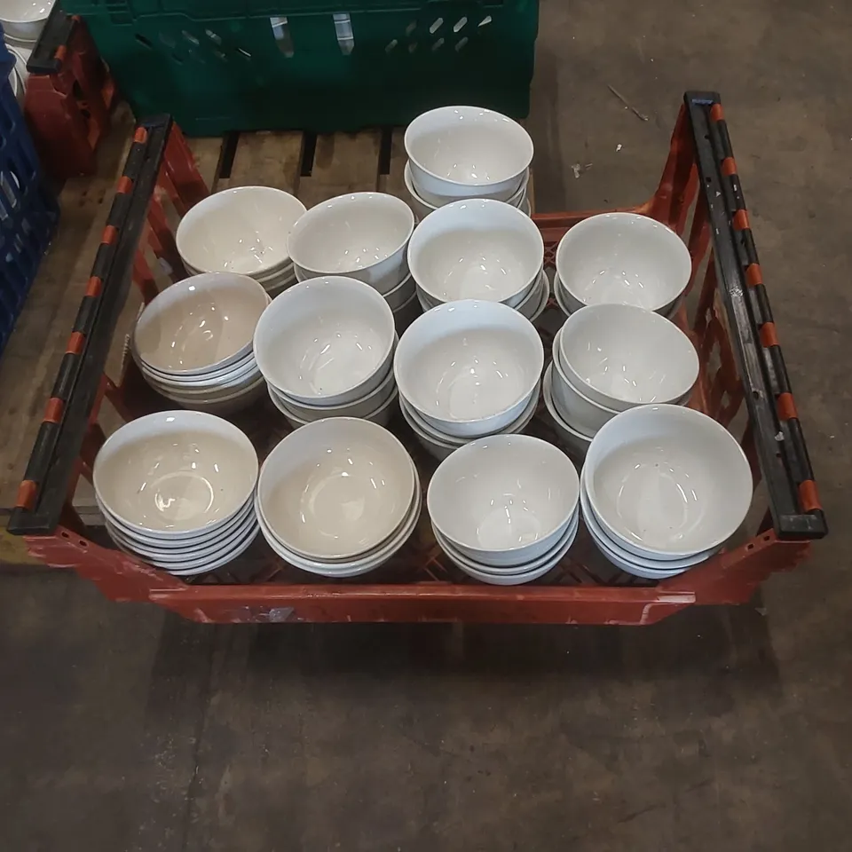 TOTE TO CONTAIN RESTAURANT BOWLS 