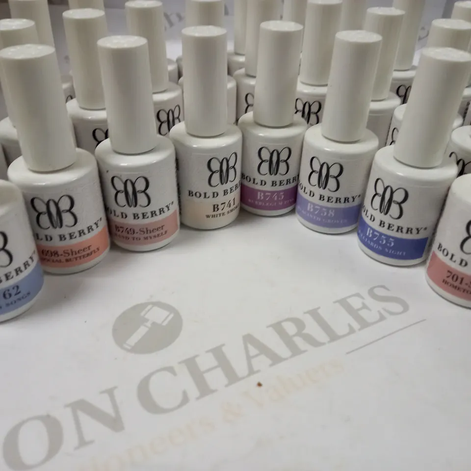 BOLD BERRY GEL POLISH BUMPER COLOUR ASSORTMENT 
