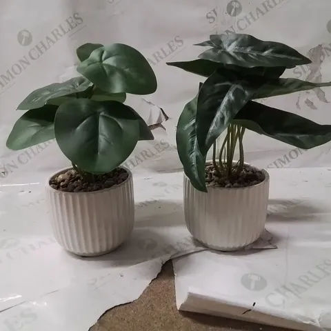BOXED FAUX PLANTS IN WHITE RIBBED POTS SET OF 2