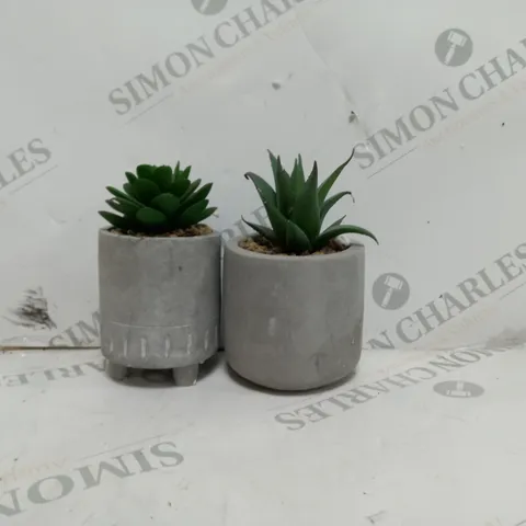 6 TINY PLANTERS WITH PLANT 2PK - COLOUR CONTRETE