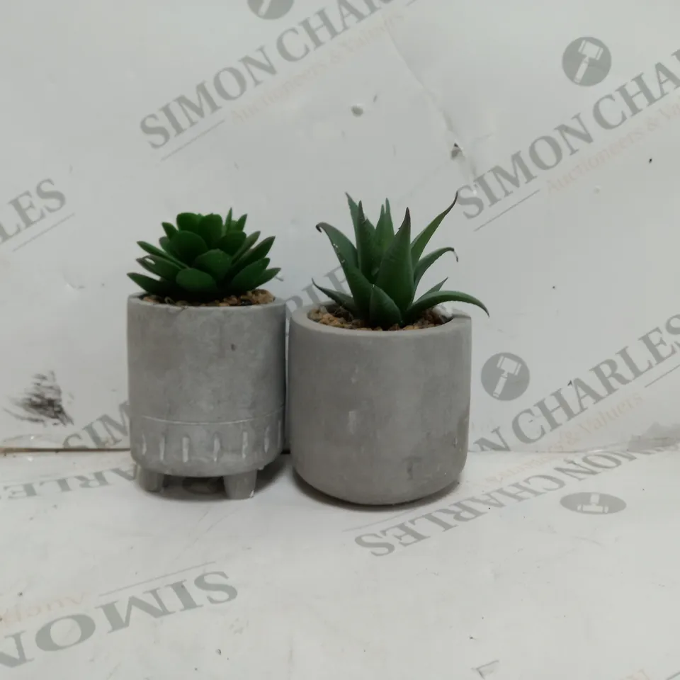 6 TINY PLANTERS WITH PLANT 2PK - COLOUR CONTRETE 