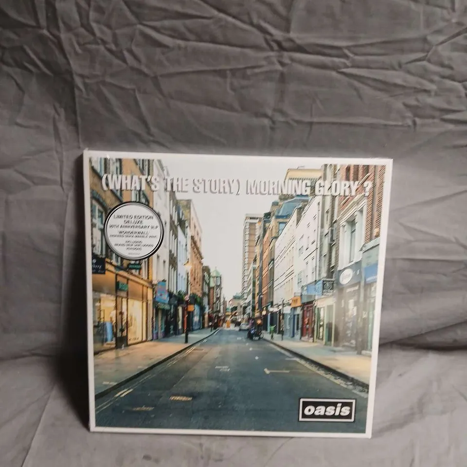 OASIS – WHAT'S THE STORY MORNING GLORY? VINYL LP SLEEVE