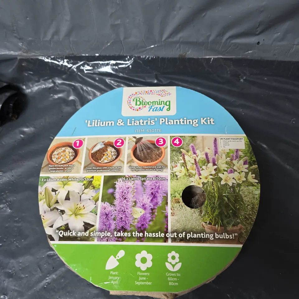 BLOOMING FAST LILIUM AND LIATRIS PLANTING KIT