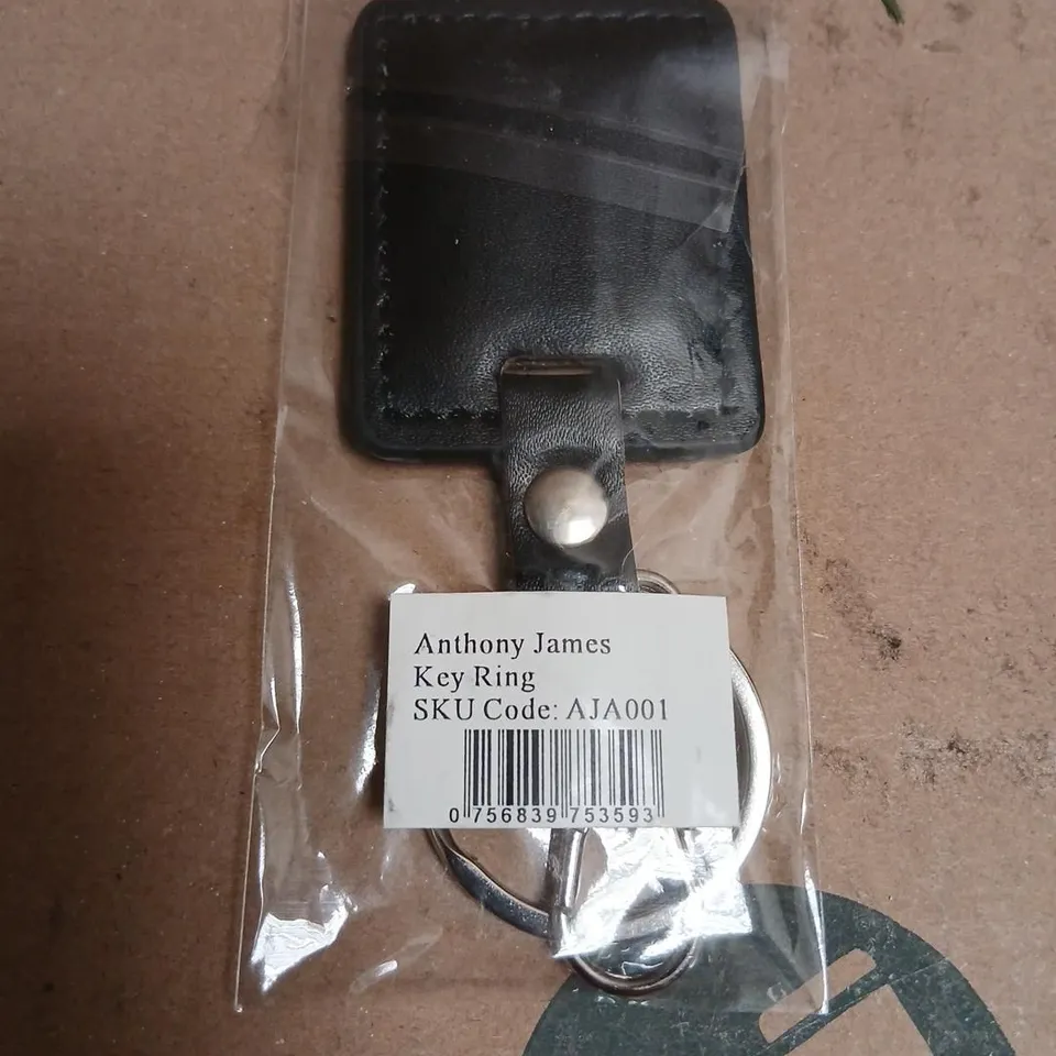 ANTHONY JAMES KEY RING