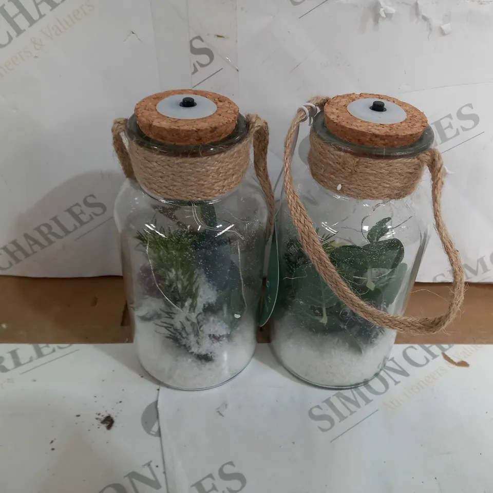 SARAH DAVIES SET OF 2 PRE LIT FOLIAGE GLASS JARS