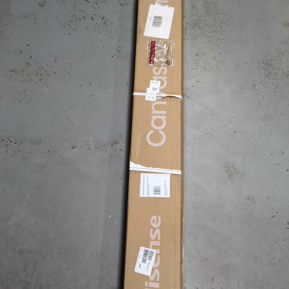 HISENSE CANVAS 55 INCH TV BEZEL