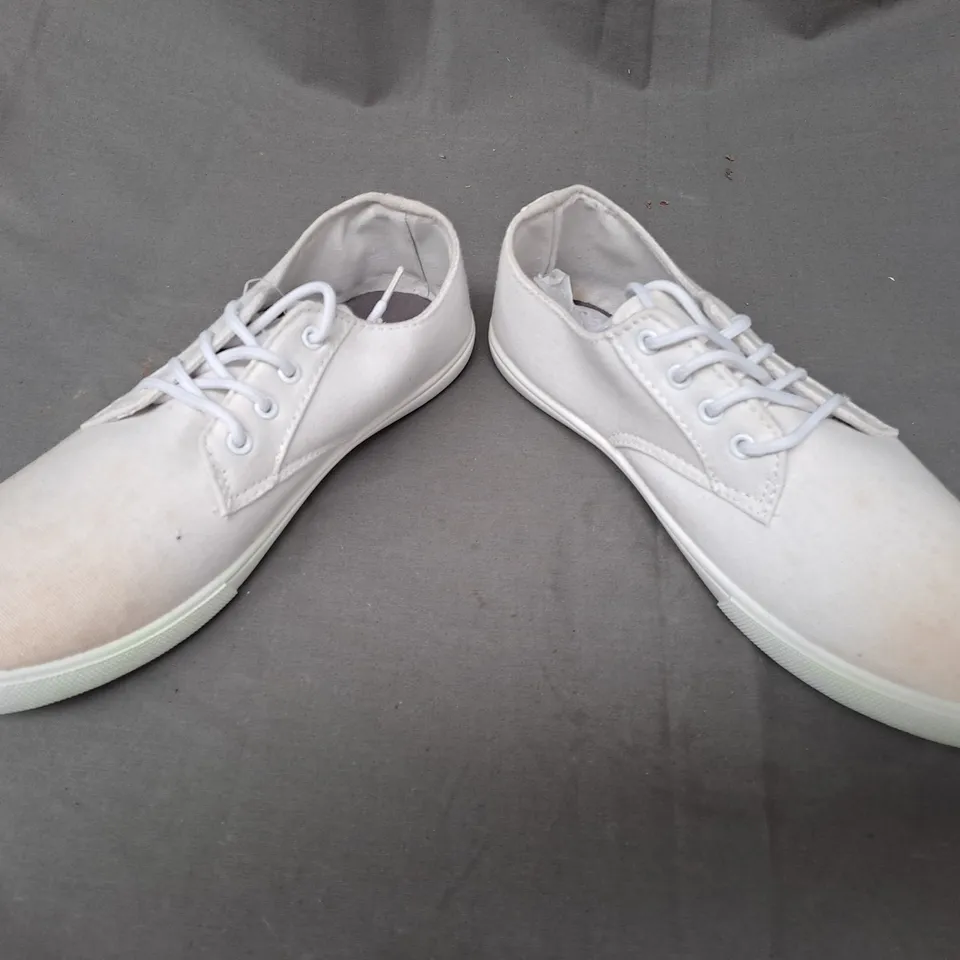 BOX OF APPROXIMATELY 5 PAIRS OF DESIGNER CANVAS SHOES IN WHITE IN VARIOUS SIZES