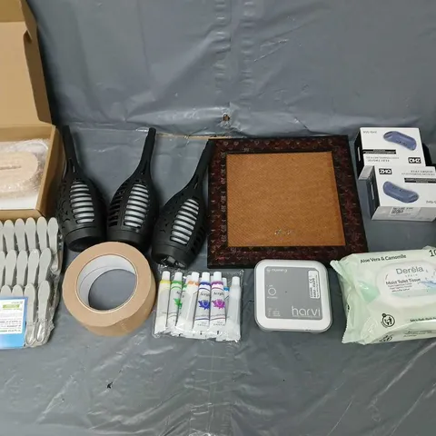 APPROXIMATELY 10 ASSORTED HOUSEHOLD ITEMS TO INCLUDE - GARDEN LIGHTS, GARDEN PEGS, AND TOILET TISSUE ETC. 