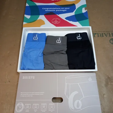 BOX OF 3 JUST WEARS BRIEFS SIZE L