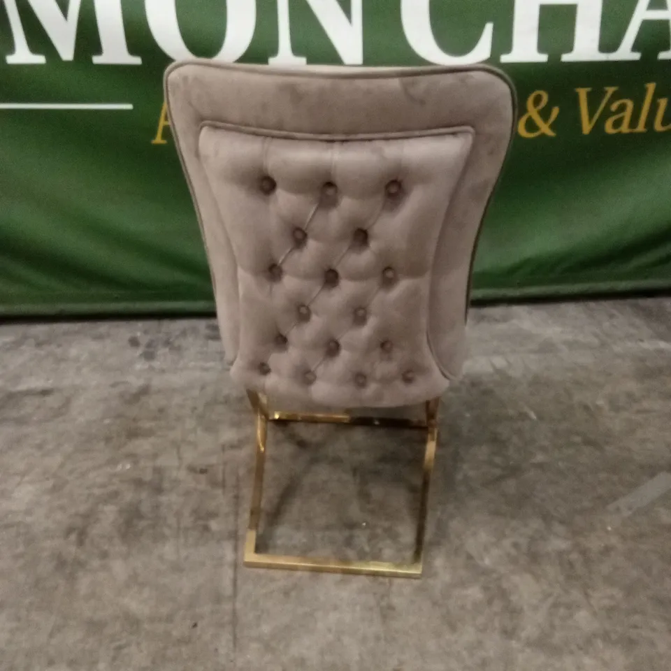 QUALITY DESIGNER VELVET DINING CHAIR WITH GOLD FRAME