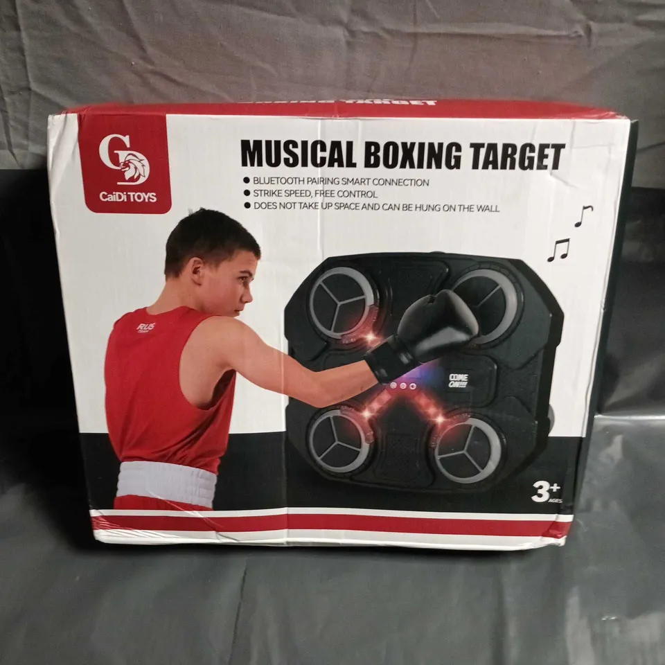 CAIDI TOYS INTELLIGENT MUSICAL BOXING TARGET – WALL-MOUNTABLE ELECTRONIC TOY 