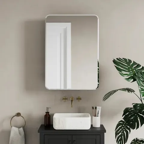 FULTON BATHROOM CABINET WALL MIRROR