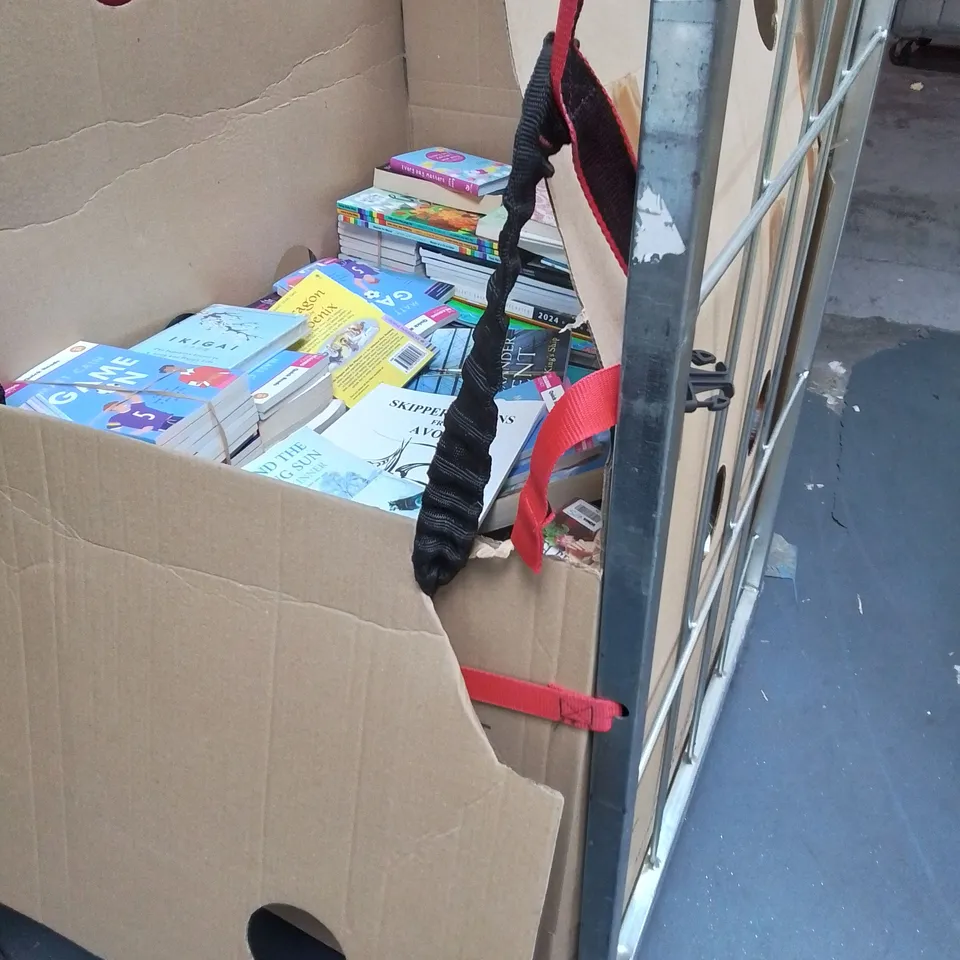 LARGE QUANTITY OF ASSORTED BOOKS TO INCLUDE THE BI4DCAGE, THE SONG OF ACHILLES, BLAME MY BRAIN AND VARIOUS KIDS BOOKS