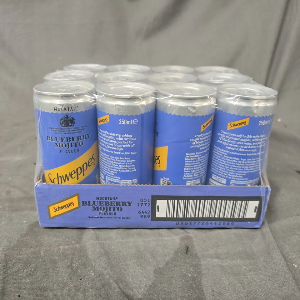 12 PACK OF SCHWEPPES MOCKTAIL BLUEBERRY MOJITO FLAVOUR (12X250ML)