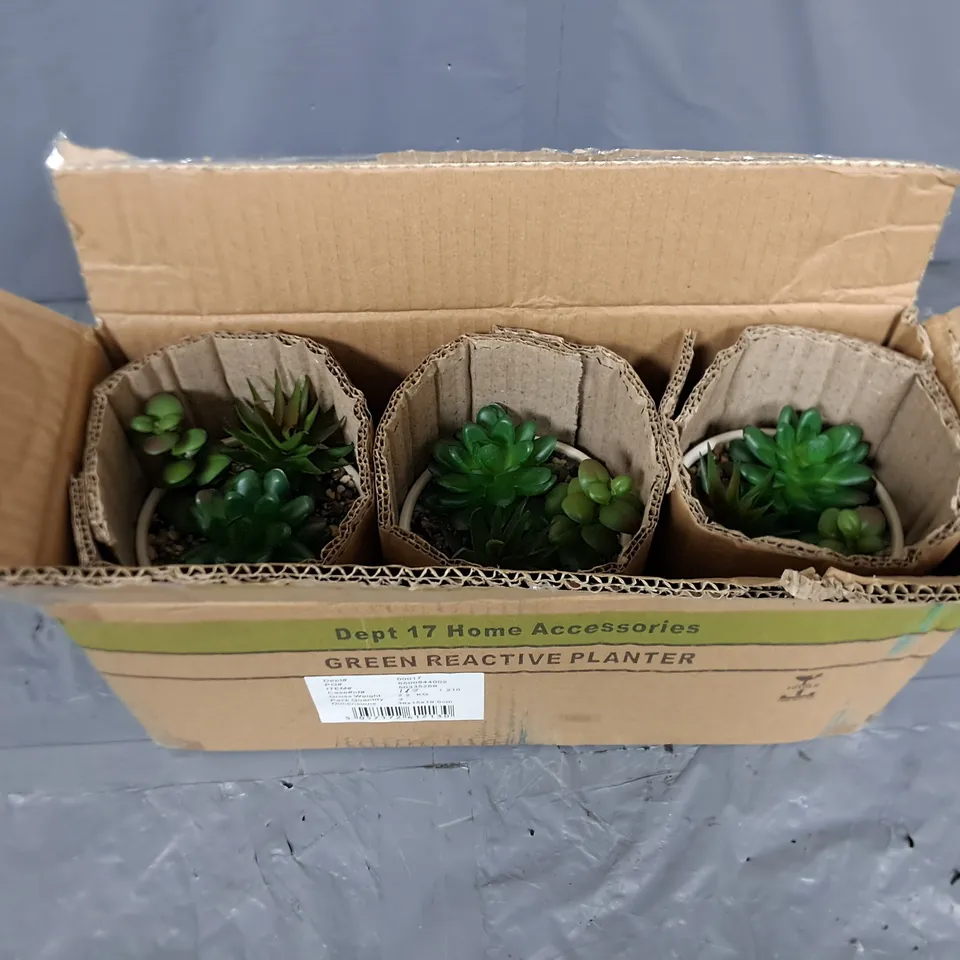 PALLET CONTAINING APPROXIMATELY 48 3-PACK BOXES OF BRAND NEW GREEN REACTIVE PLANTERS