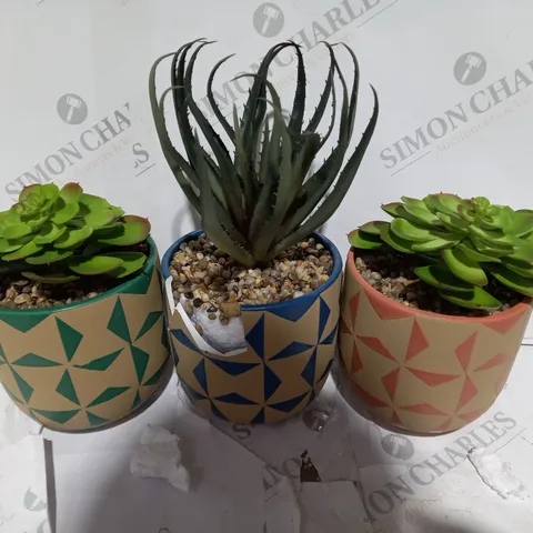 BOXED SET OF 3 FAUX SUCCULENT IN CERAMIC MOSAIC POTS 
