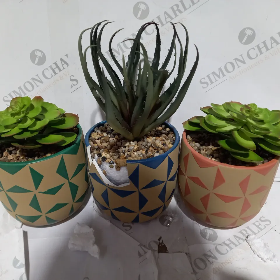 BOXED SET OF 3 FAUX SUCCULENT IN CERAMIC MOSAIC POTS