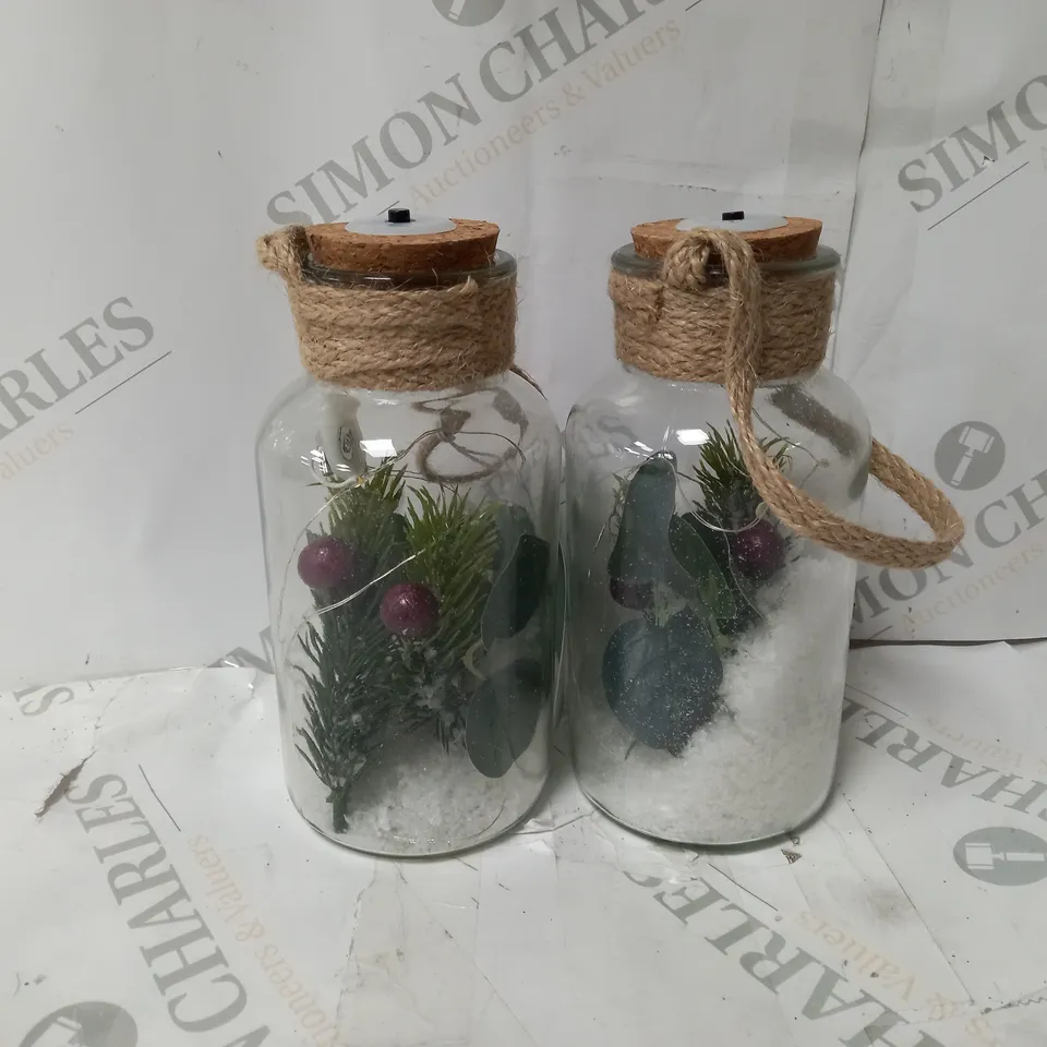 SARAH DAVIES SET OF 2 PRE LIT FOLIAGE GLASS JARS