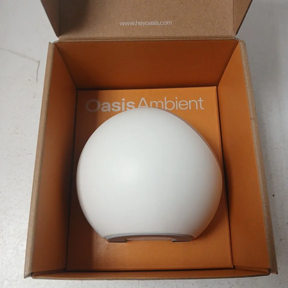 BOXED OASIS AMBIENT 