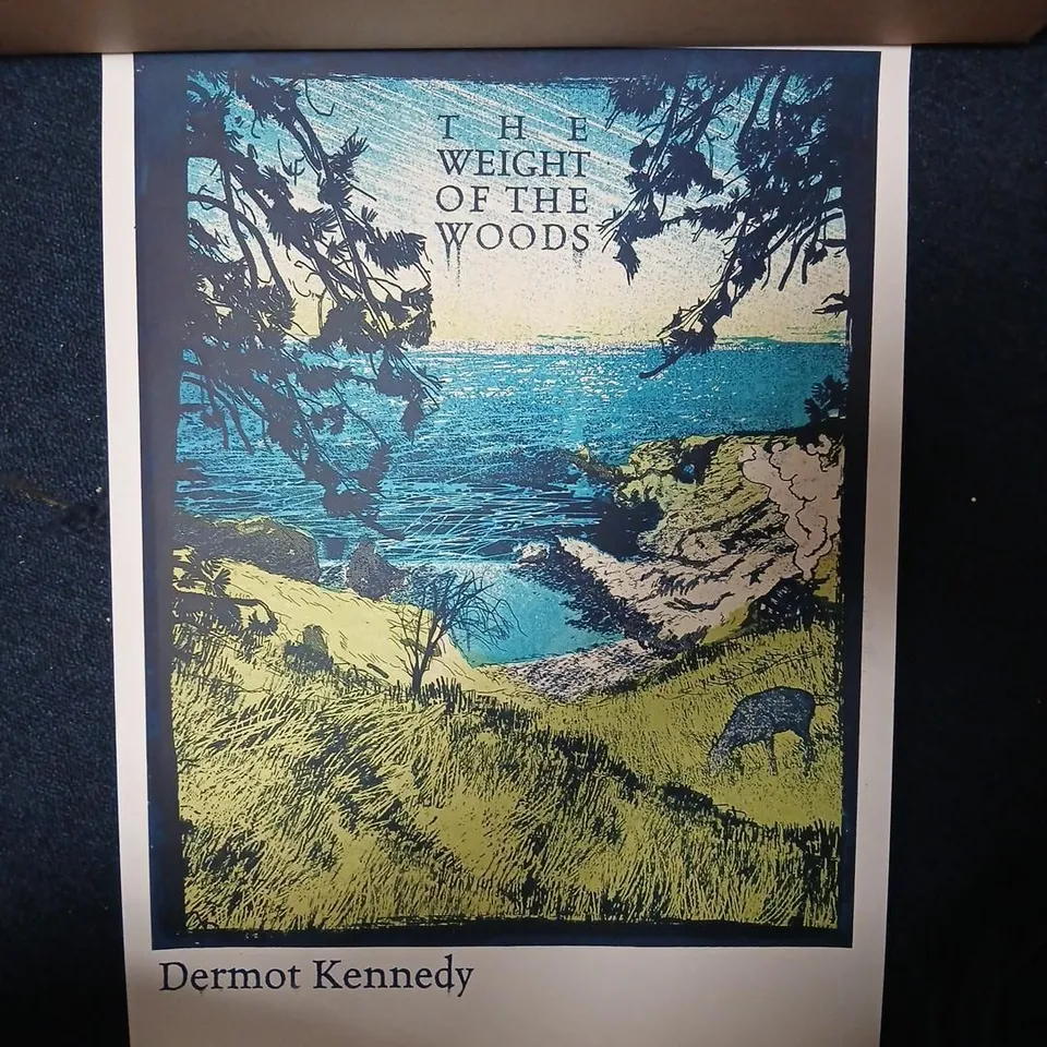 Dermot Kennedy – The Weight of the Woods Screenprint signed and numbered # 97/525