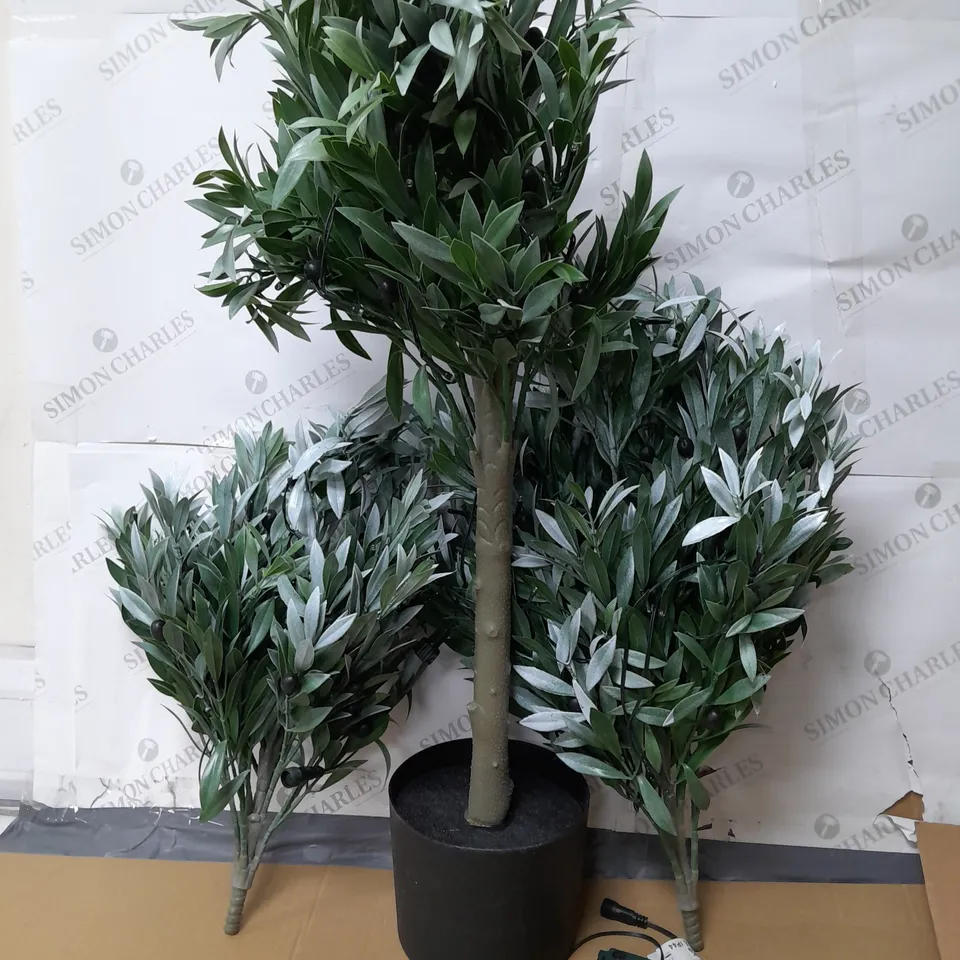 BOXED MY GARDEN STORIES BUSHY LED OLIVE TREE