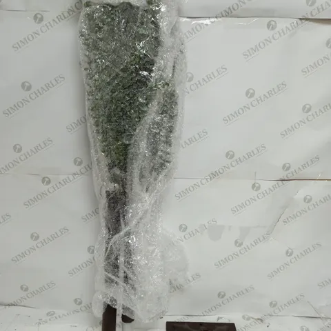 BOXED SARA DAVIES PRE-LIT INDOOR OUTDOOR EUCALYPTUS TREE - COLLECTION ONLY