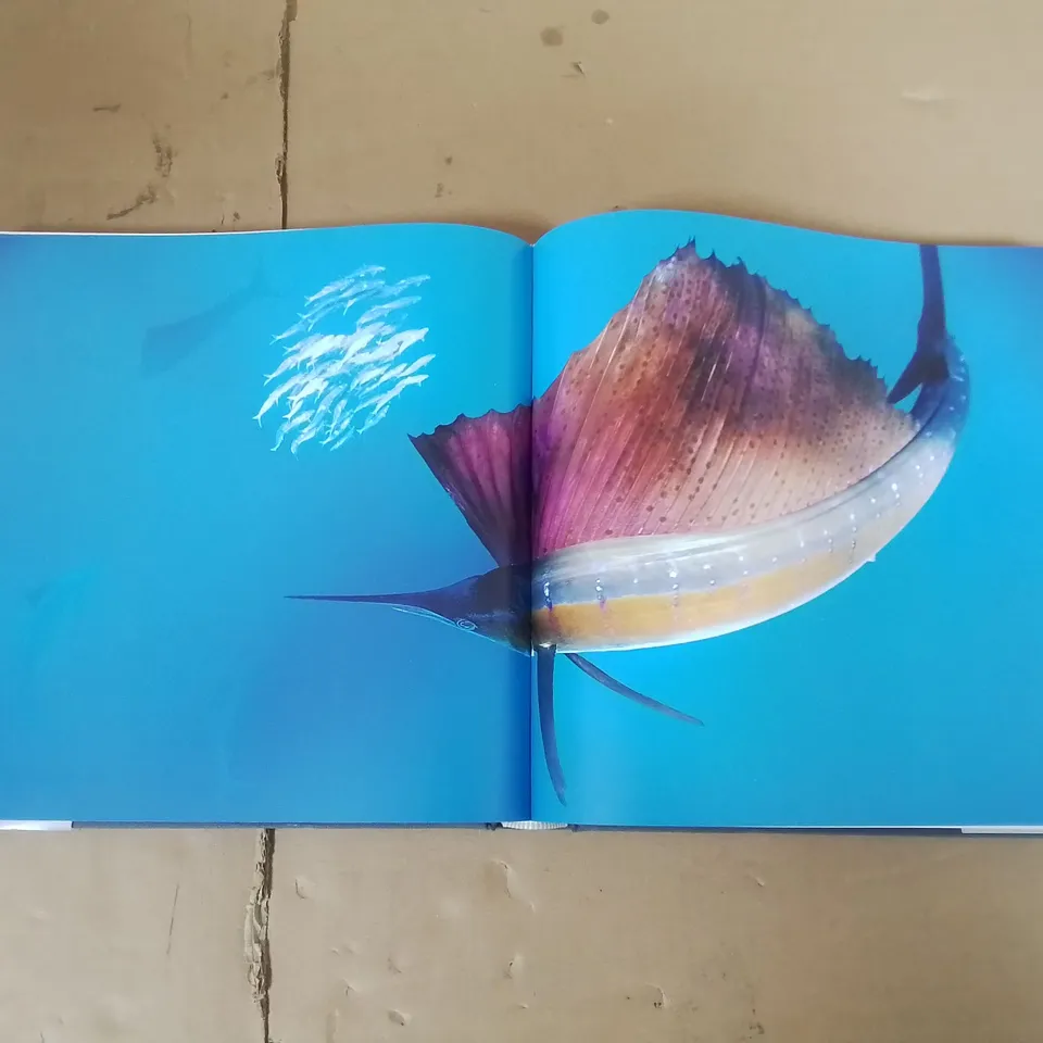 NATIONAL GEOGRAPHIC SIMPLY BEAUTIFUL PHOTOGRAPHS - ANNIE GRIFFITHS