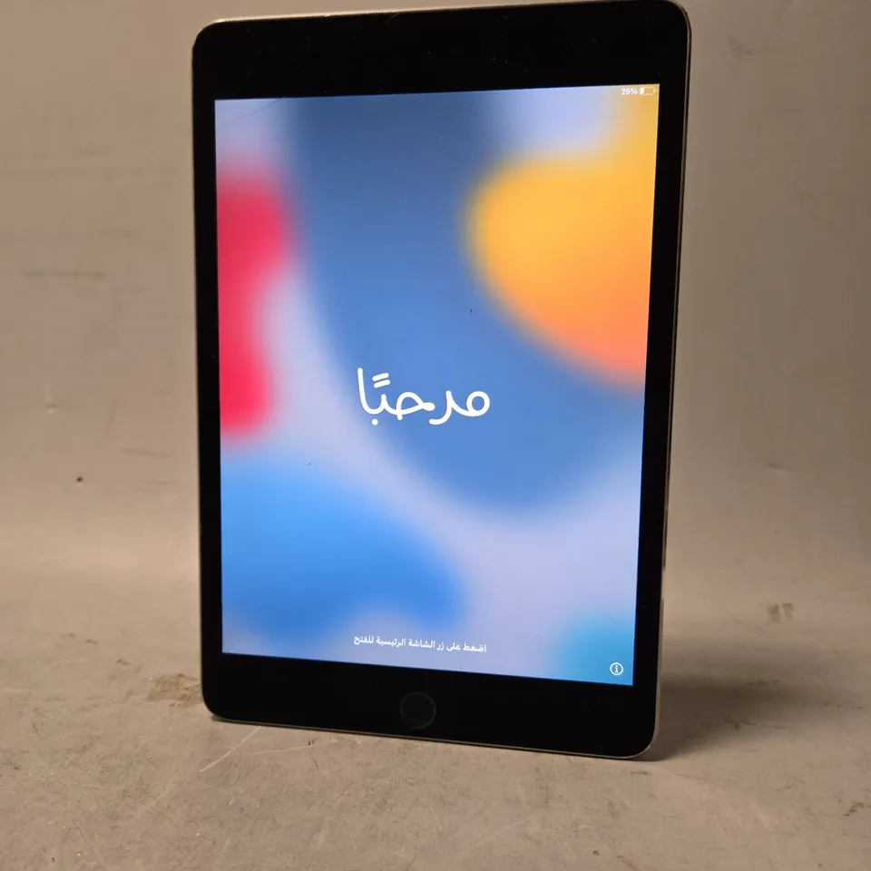 APPLE IPAD MINI 4