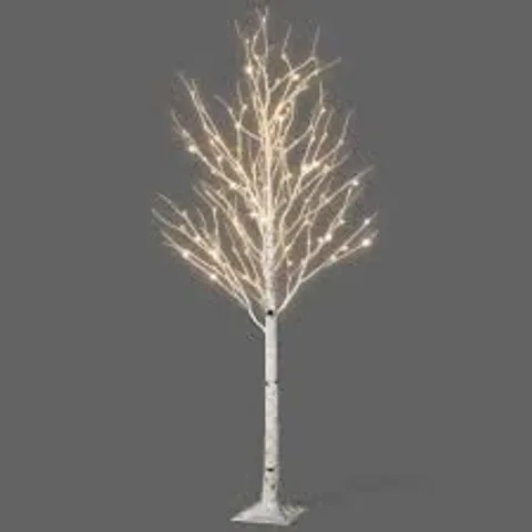 BOXED NETTA BIRCH TREE WITH WARM WHITE LED LIGHTS (1 BOX)
