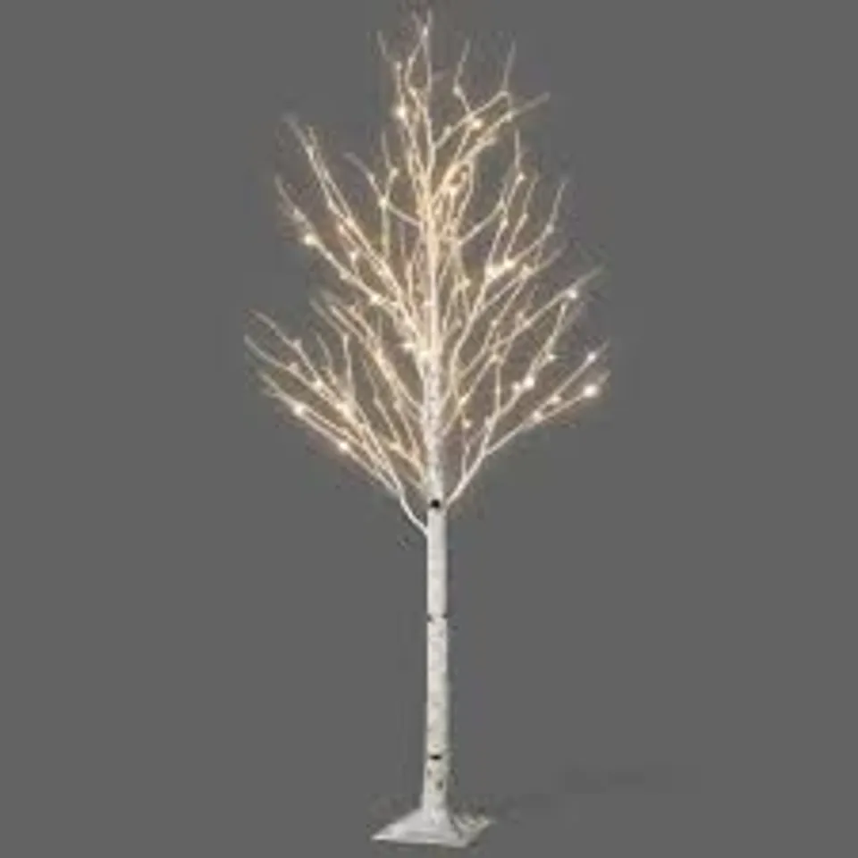 BOXED NETTA BIRCH TREE WITH WARM WHITE LED LIGHTS (1 BOX)