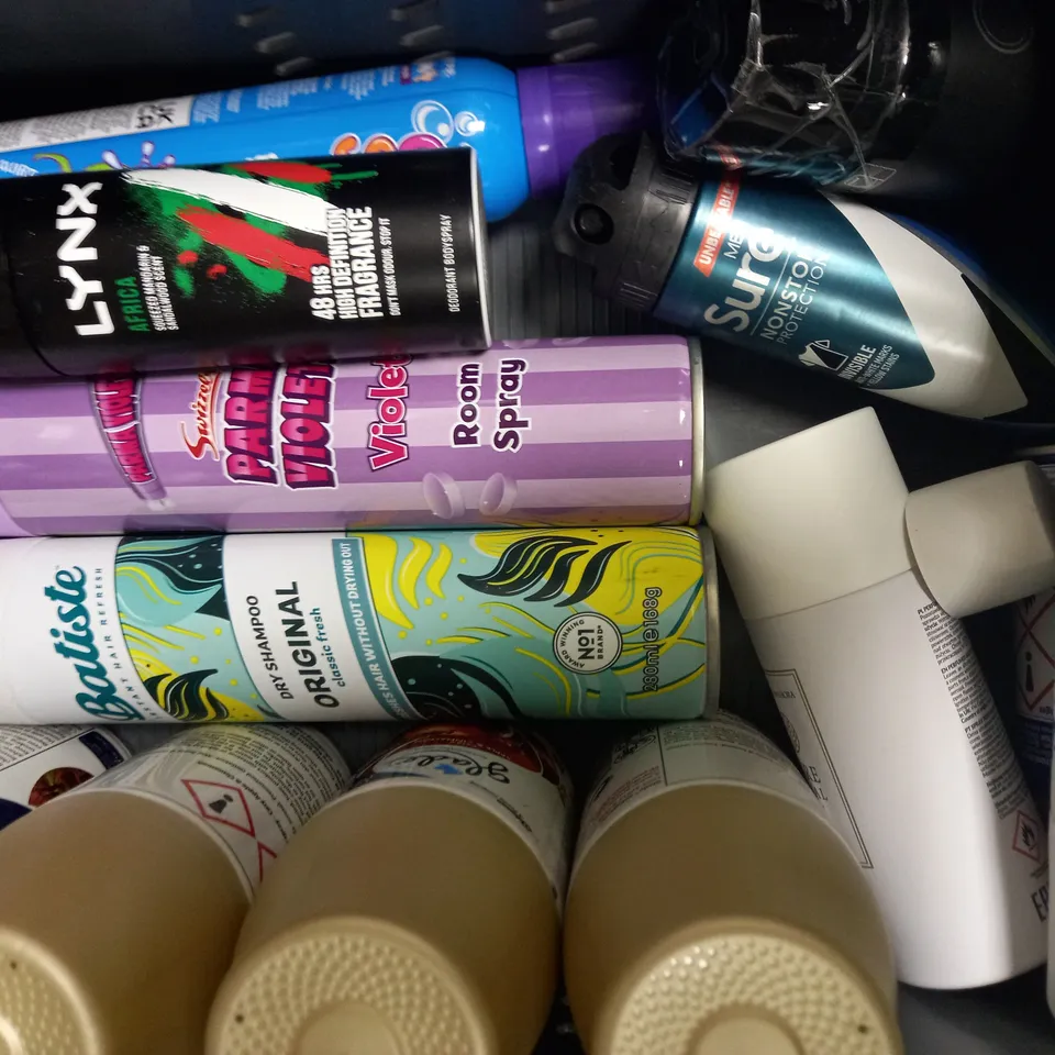 LOT OF APPROXIMATELY 19 ASSORTED AEROSOLS, TO INCLUDE CENTRAL HEATING PROTECTOR, HAIR CARE, TYRE SPRAY, ETC - COLLECTION ONLY