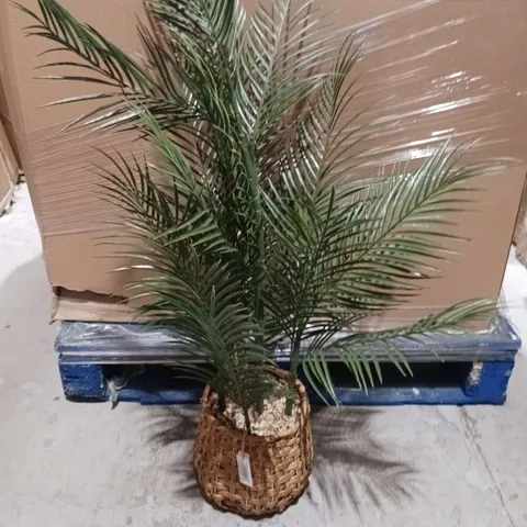 100CM PALM IN PLASTIC ROPE BASKET - COLLECTION ONY 