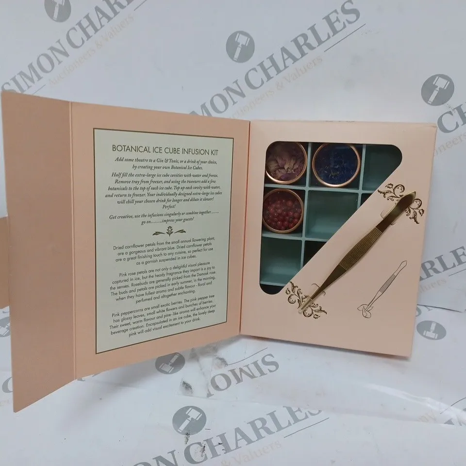 BOX OF 2 BOTANICAL ICE CUBE INFUSION KITS