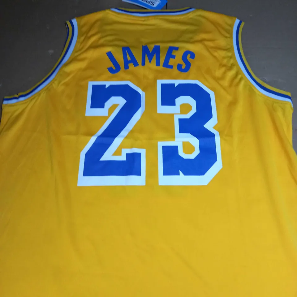 LA LAKERS JERSEY AND SHORTS  WITH JAMES 23 4XL
