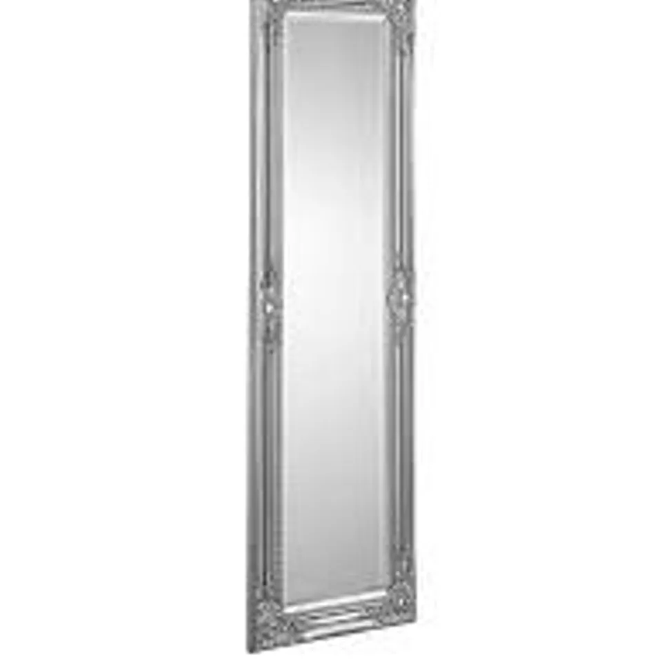 PALAIS DRESS MIRROR RRP £65