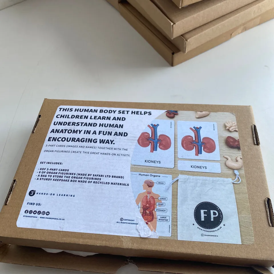 BOX OF 14 X BRAND NEW HANDS-ON LEARNING HUMAN BODY SET