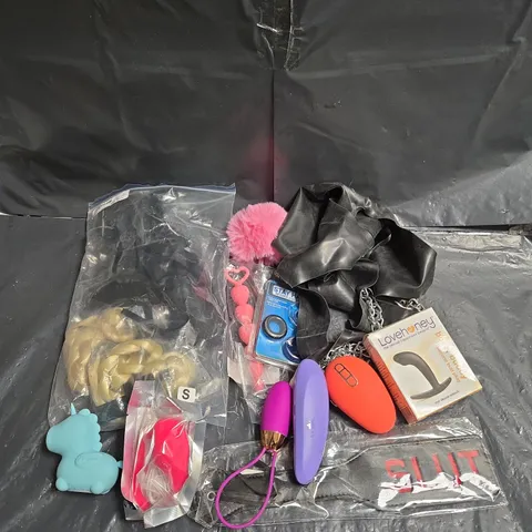 APPROXIMATELY 20 ASSORTED ADULT TOYS & ACCESSORIES