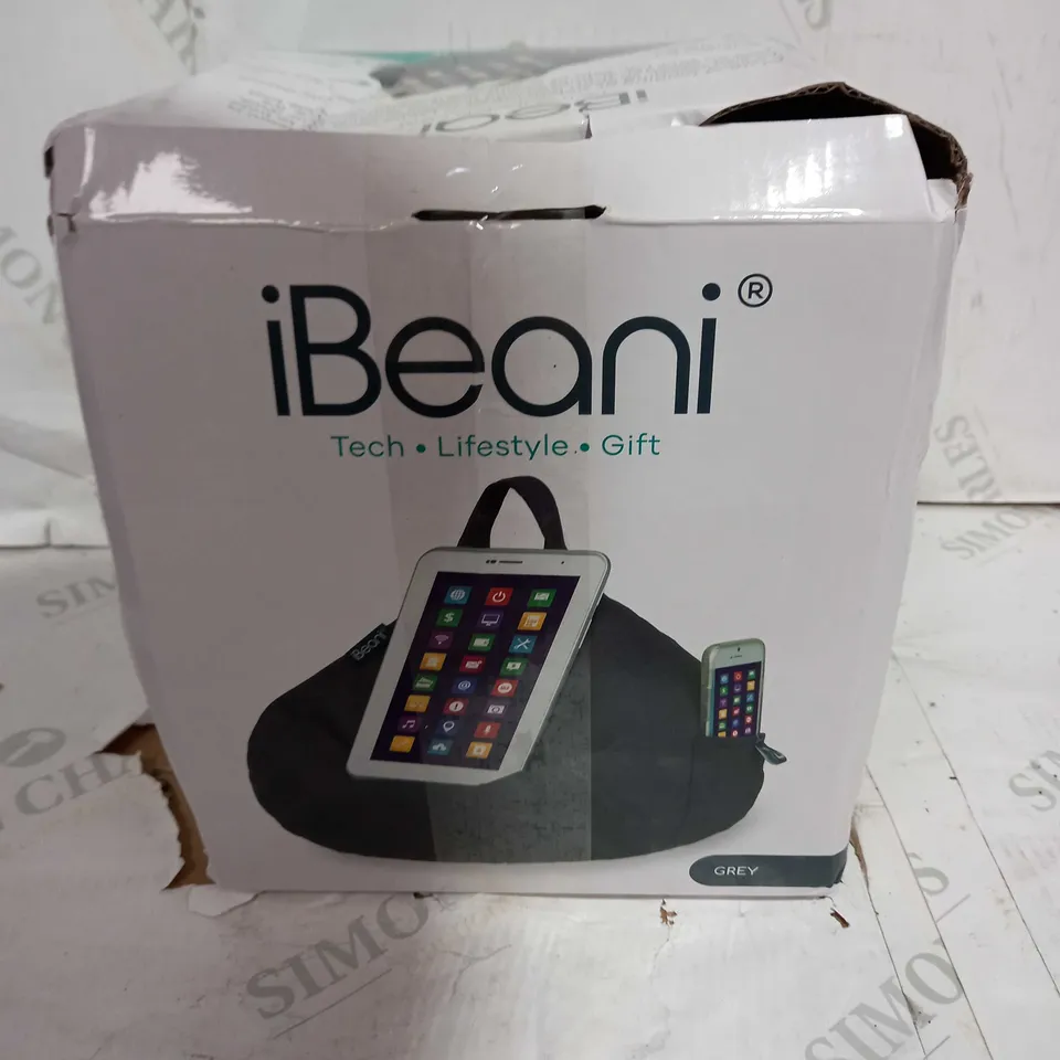 IBEANI IPAD, TABLET & EREADER BEAN BAG CUSHION