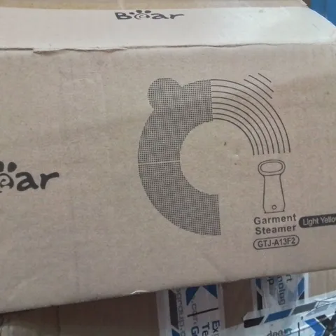BOXED GARMENT STEAMER