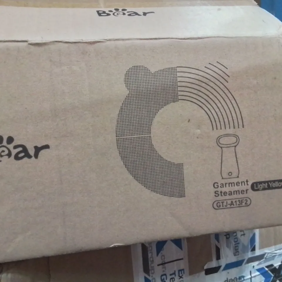 BOXED GARMENT STEAMER