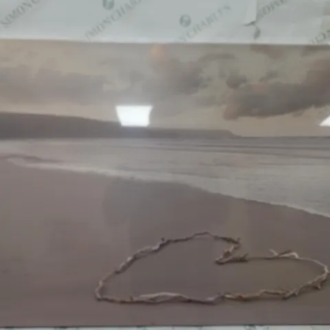 BOXED EAST URBAN HOME LOVE'S SERENITY BEACH SEA DRIFTWOOD PHOTOGRAPHIC PRINT 60X80CM