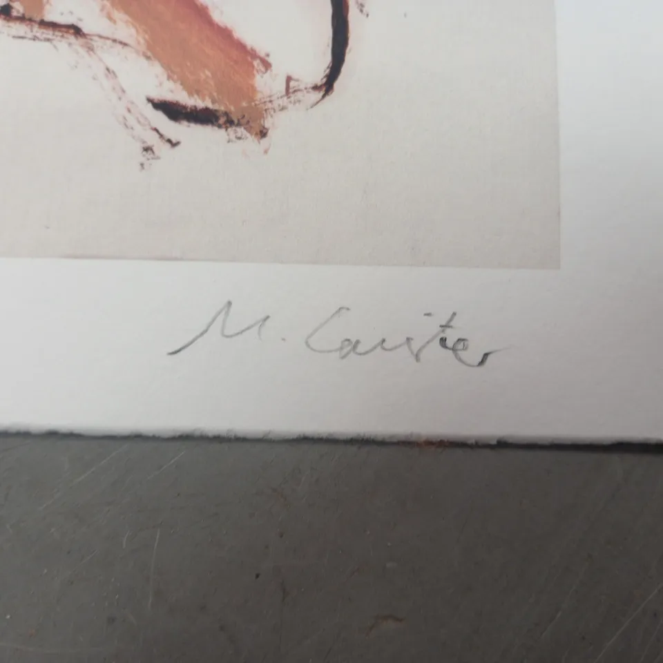 SIGNED LIMITED EDITION ARTWORK (1/30)