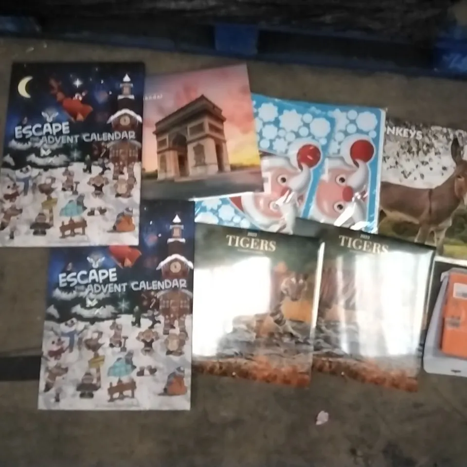 PALLET OF ASSORTED ITEMS INCLUDING ESCAPE THE ADVENT CALENDER, 2022 TIGERS CALANDER, 2022 PARIS CALENDER, 2022 DONKEY CALENDER, KIDS POCKET RAINCOAT, LURROSE 6PCS NAIL CARE KIT